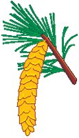 Pinecone.eps
