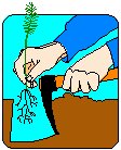 Planting Tree.eps