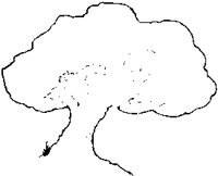 Tree 02.eps