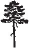 Tree 06.eps