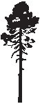 Tree 10.eps