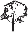 Tree 13.eps
