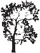 Tree 14.eps