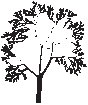 Tree 17.eps