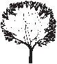 Tree 23.eps