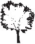 Tree 24.eps