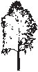 Tree 25.eps