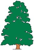 Tree 34.eps