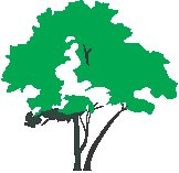 Tree 42.eps