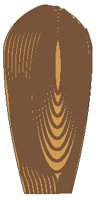 Tree Growth Rings 3.eps