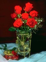 D01C0018.JPG