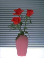 D01C0032.JPG