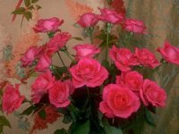 D01C0033.JPG