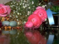 D01C0041.JPG
