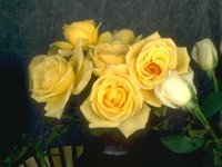 D01C0045.JPG