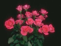 D01C0047.JPG