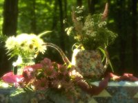 D01C0073.JPG