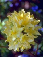 D01C0088.JPG