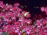 D01C0093.JPG