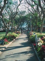 F03I0062.JPG