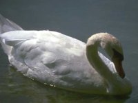 B04A0065.JPG