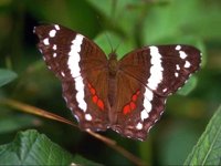 B04A0100.JPG