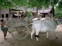 F08B0098.JPG