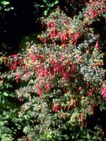 F10B0058.JPG