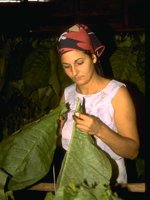 F06B0006.JPG