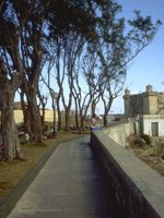 F06B0062.JPG