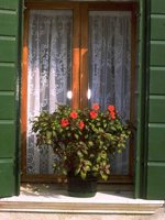 I03B0082.JPG