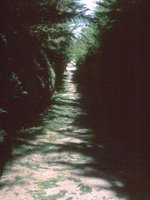 F12B0034.JPG
