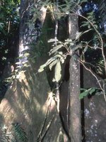 F12B0097.JPG
