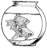 Goldfish.tif
