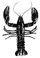Lobster.tif