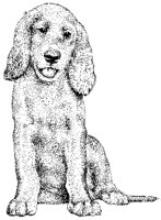 Puppy.tif