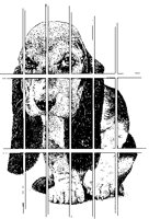 Puppy in Kennel.tif