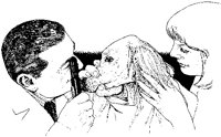 Veterinarian Examining Dog.tif