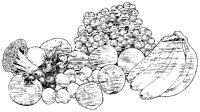 Fruits & Vegetables.tif
