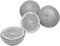 Grapefruit - Pink 1.tif