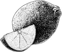Limes.tif