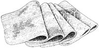 Ham - Slices.tif