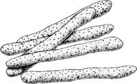 Bread Sticks - Italian.tif