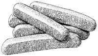 Frankfurters.tif