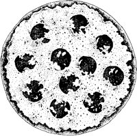 Pizza - Pepperoni.tif