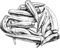 Okra.tif