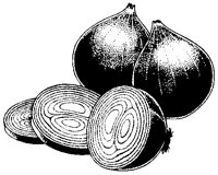 Onions - Red.tif
