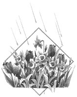 Flowers in Rain.tif