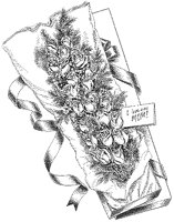 Roses - Two Dozen.tif