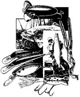 Fishing Lures Collage.tif